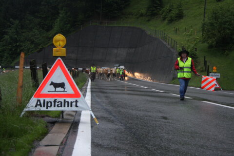 20210520 Alpfahrt_Quelle BUL