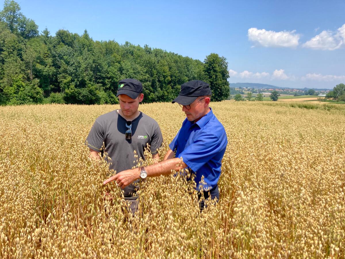 Fortunat Schmid et agriculteur Marc Lehmann dans le champ d'avoine.