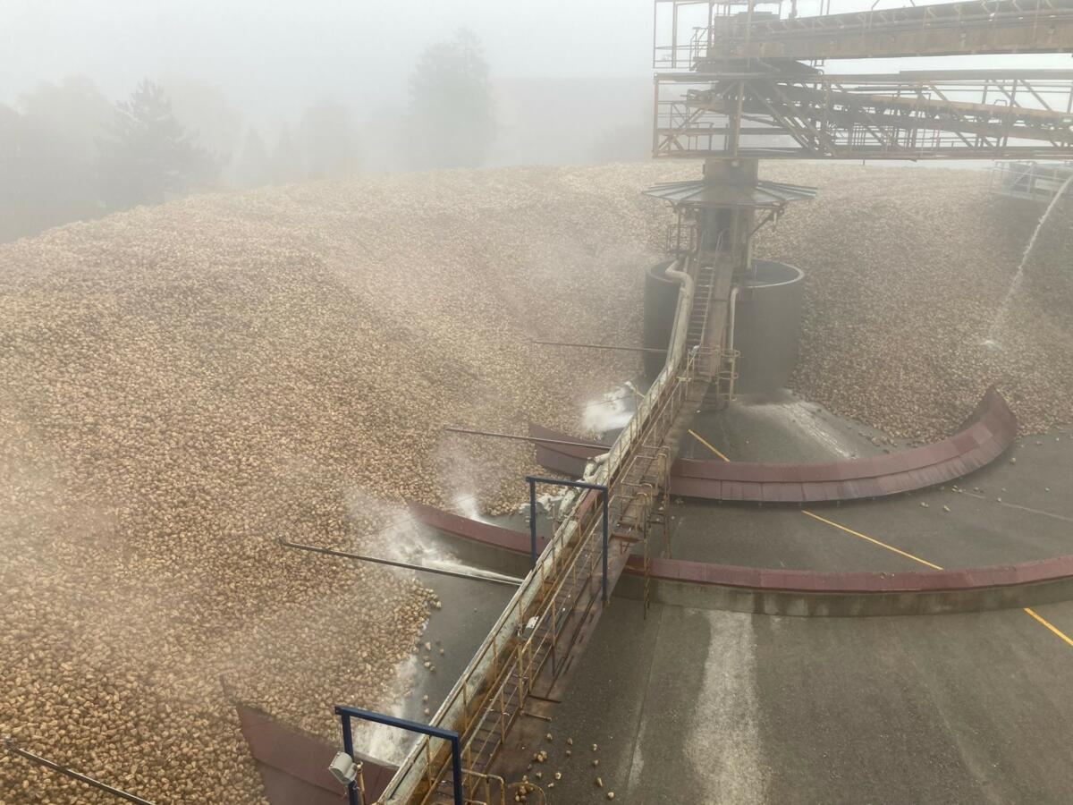 Die Anlage in Aarberg dient als Puffer während der verlängerten Kampagne.