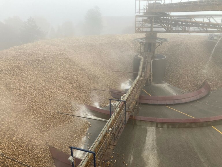 2021_zuckerrueben_zuckerfabrik-aarberg-ruebenlager_lid