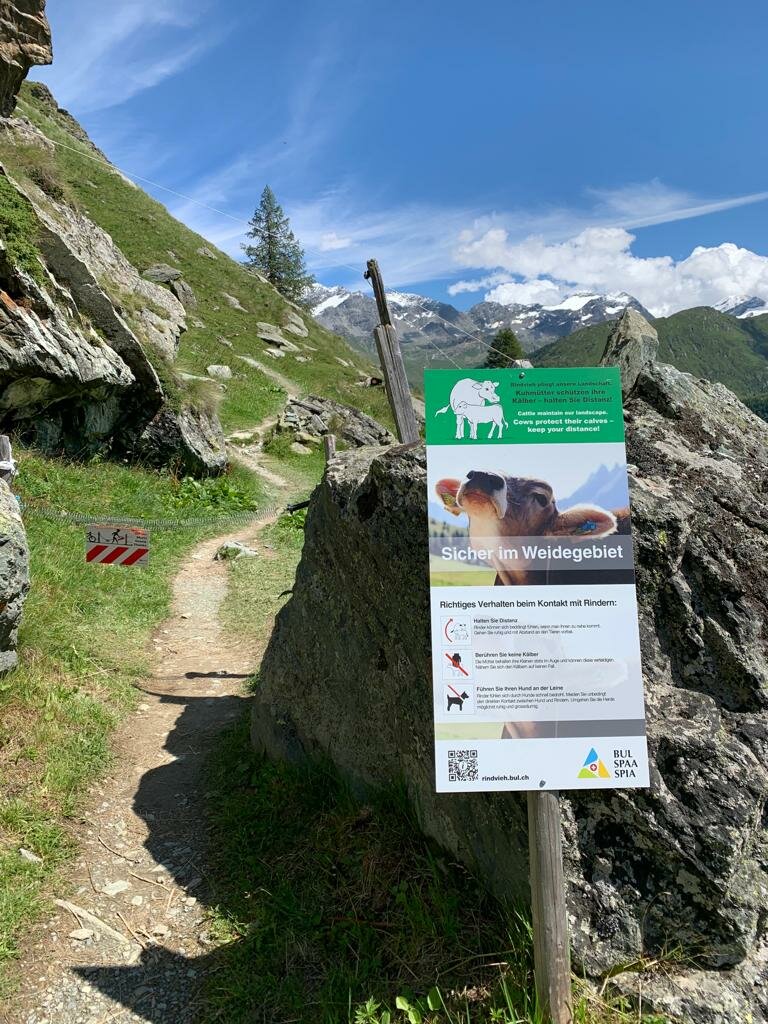 20220505_Bild Infotafel Wanderweg Bildquelle bul.ch