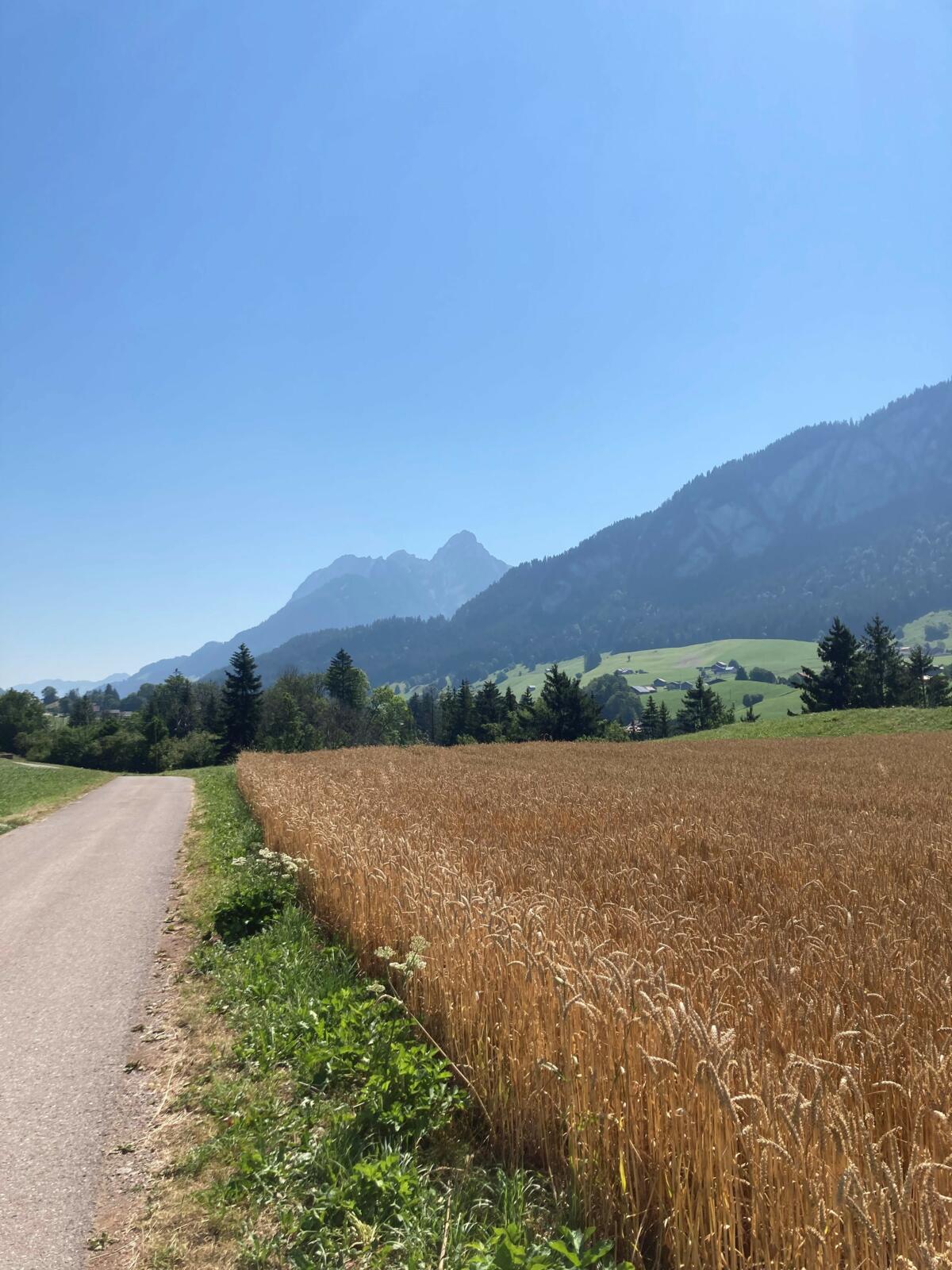 Die Schweizer Landwirtschaft 2023