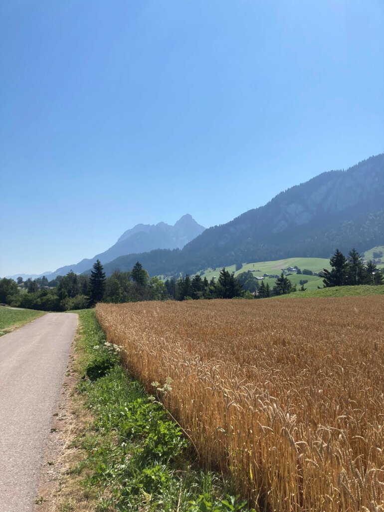 2022_ackerbau-ackerkulturen_rho_LID