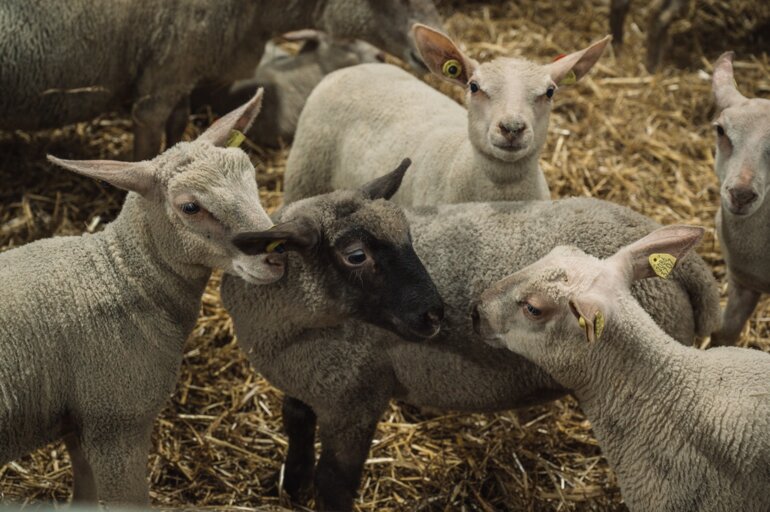 202404_MM©SEger_Low