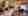 alt_text