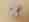 alt_text