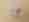 alt_text