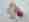 alt_text