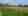 2024_acker-feld-mit-mohnblumen_jin