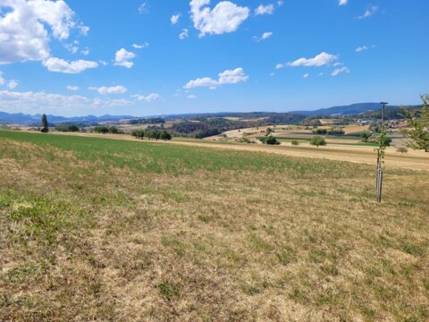 20260819_143117 (1)