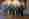 240129_fenco-hafl_gruppenbild-min