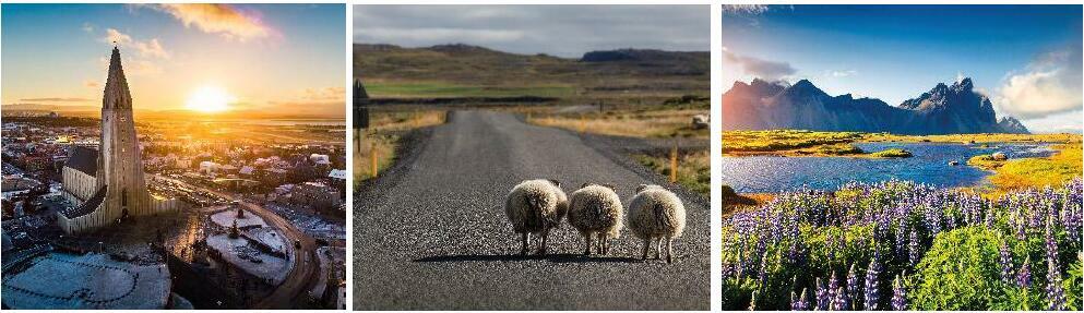 alt_text