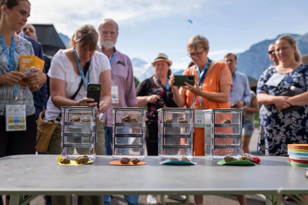 Internationaler Agrarjournalistenkongress in Interlaken begeistert die Teilnehmenden