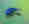 alt_text