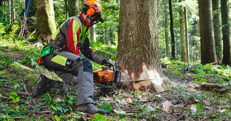 88202_Titel_Original_32286