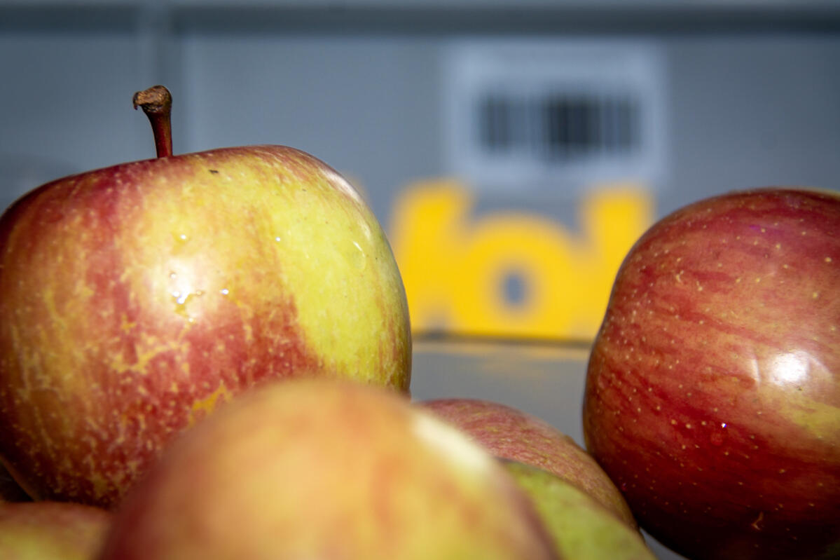 Vernissage "Hofchuchi"