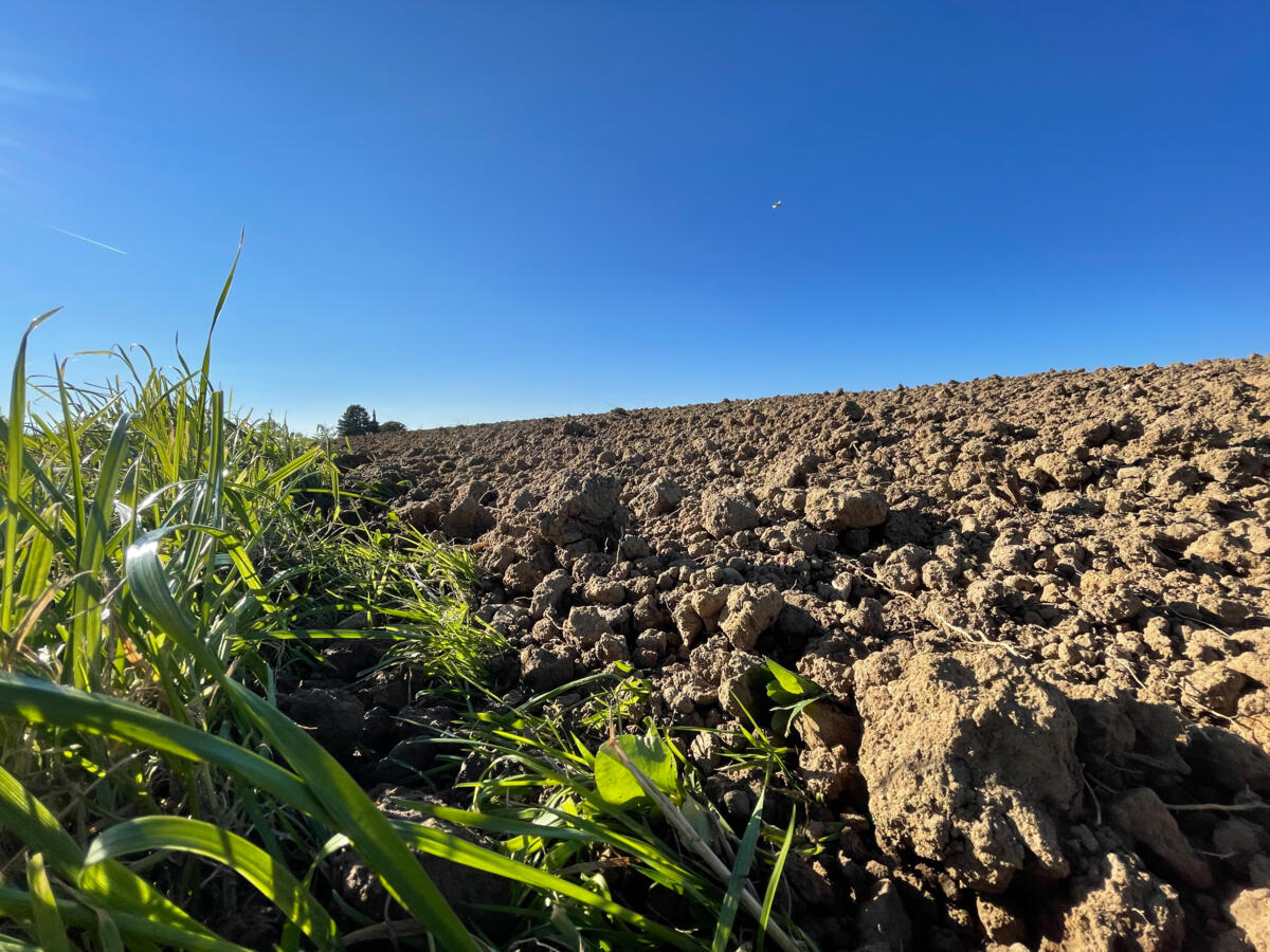 Moins de dépenses d’engrais et de diesel grâce au carbone du sol