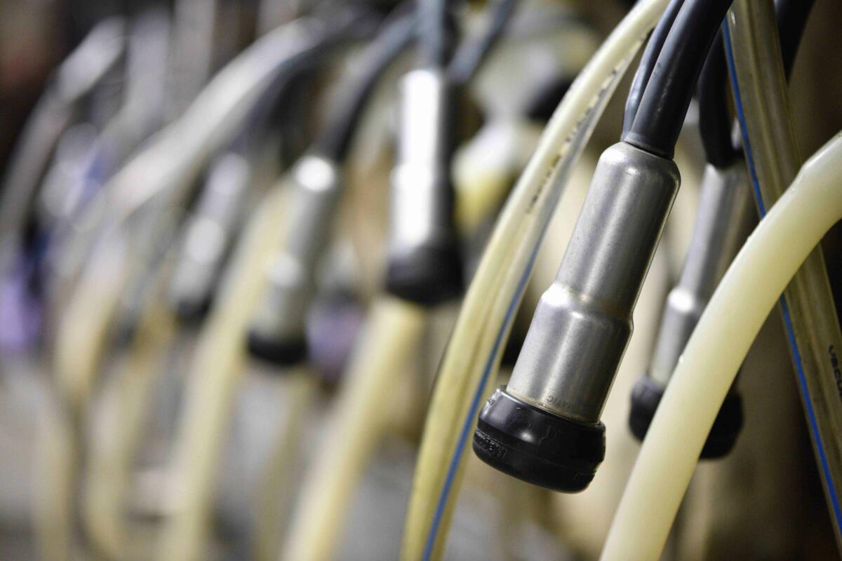 Auch im vierten Quartal 2020 bleibt der Richtpreis für Milch im A-Segment unverändert.