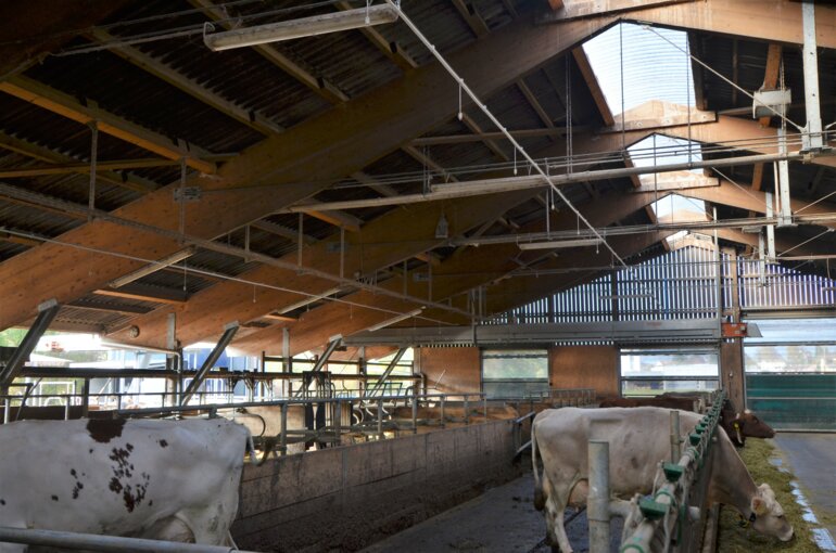 _UFA-Revue_Befeuchtung_