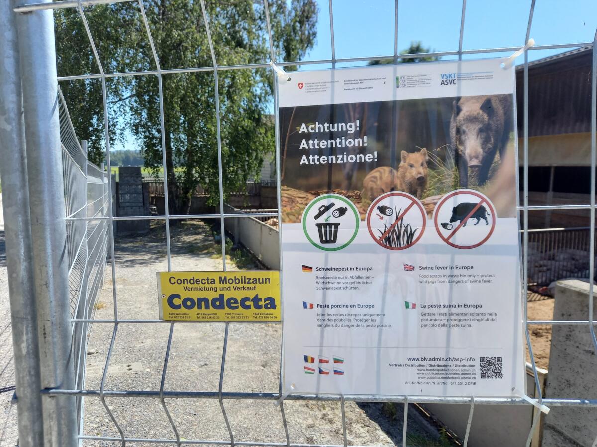 Vorkehrungen gegen die Afrikanische Schweinepest ASP