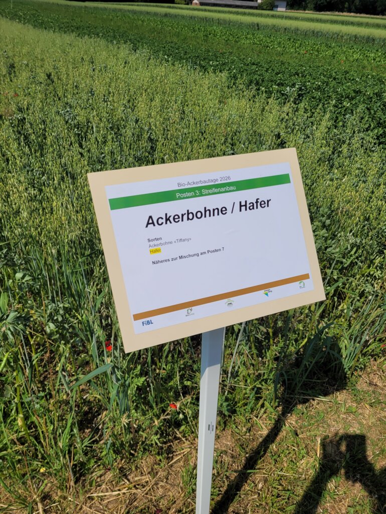alt_text