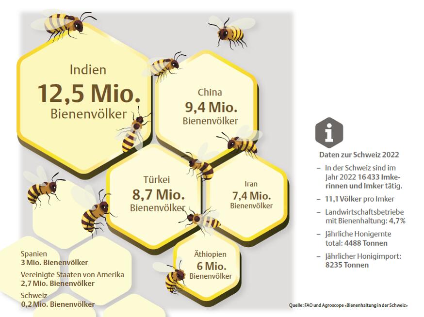 Imkerei in der Schweiz und auf der ganzen Welt