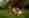 agrisano-familienfreundlich-christianmeier.photography 23-1001-184613