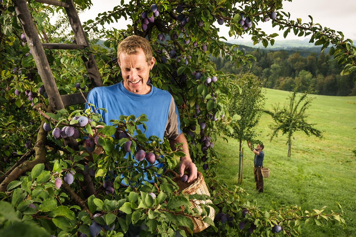 Die Bausteine der Globalversicherung können bedarfsgerecht kombiniert werden.