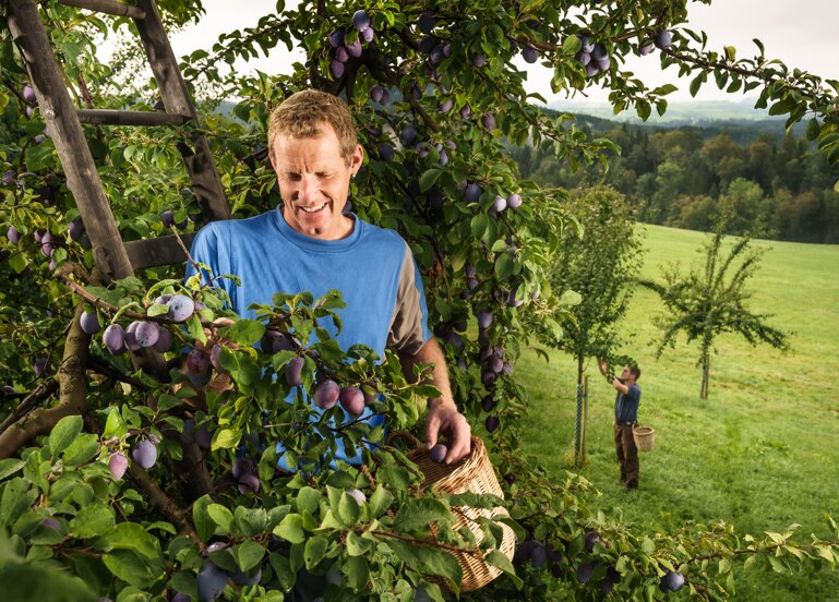 agrisano-globalversicherung-christianmeier.photography-23-0830-085342