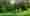 Agroforst
