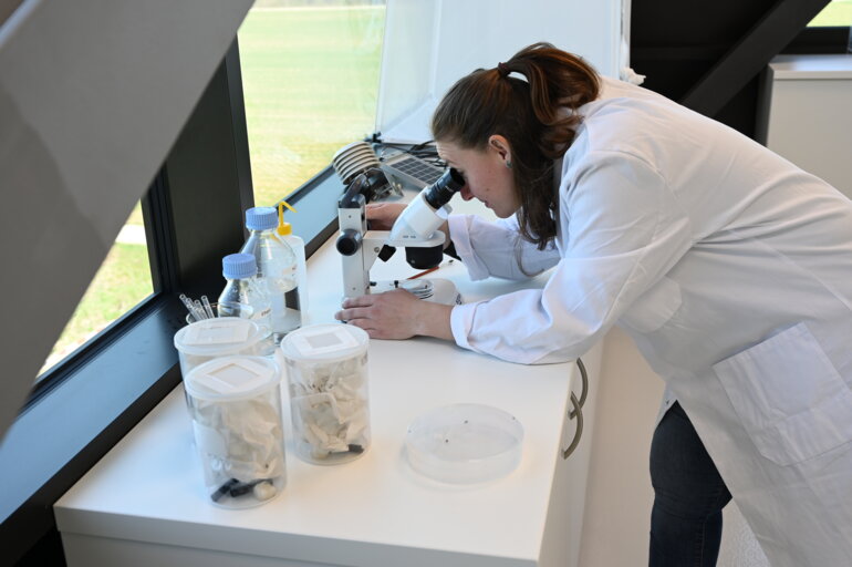 AGROLINE-Bioprotect_Makroorganismenlabor_01