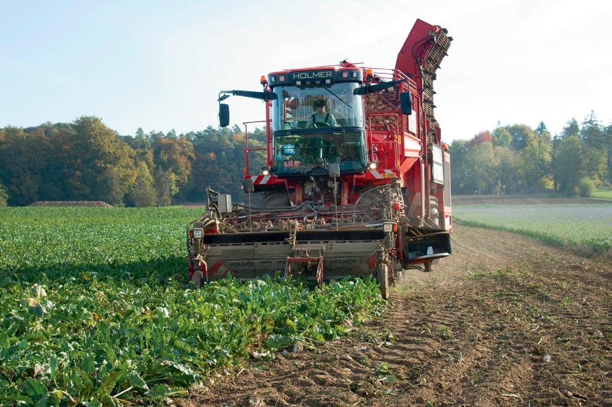 Ackerbau: wärmere Jahre besser als nasse Jahre 