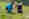 agroscope_alp-dil-plaun_gras-analyse_01