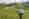 alt_text