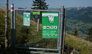 Alp Geeri_Weidetor_BUL 25.08.2017 (20)