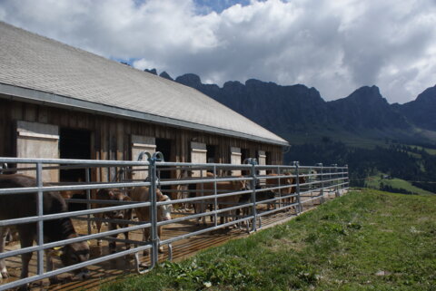 Alp im Kanton St. Gallen