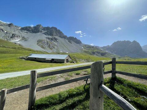 Alp_sg