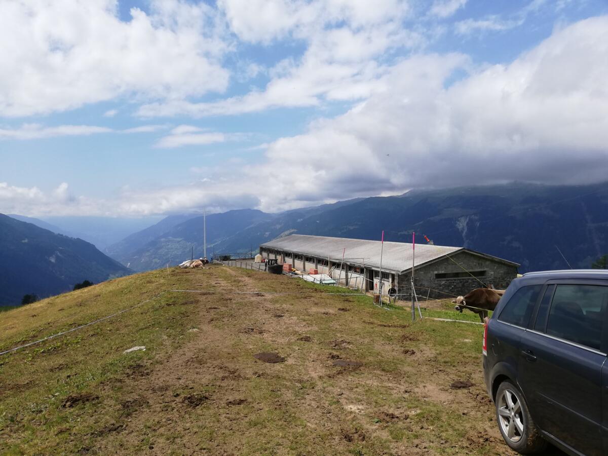 «Alpofon» vermittelt Ersatzpersonal