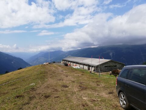 Alpe Frid VS (2)