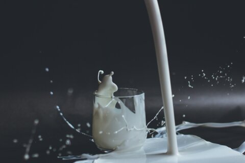anita-jankovic-c7PT4PZMcNA-unsplash