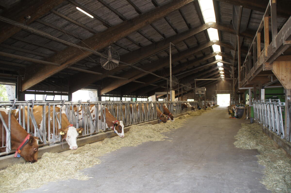 Betriebe können auch ohne Krankheitsfall im eigenen Stall von Seuchenmassnahmen betroffen sein. Bereits eine behördliche Sperrzone kann dazu führen, das...