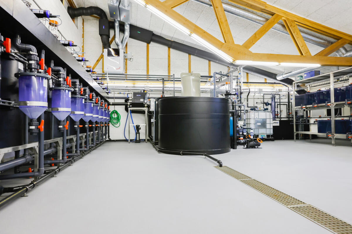 Aquaforum: un pôle de recherche, formation et services pour renforcer le secteur aquacole suisse