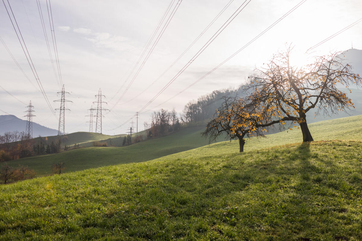 Von den insgesamt 12000 Masten und 6700 Kilometer Leitungen in der Schweiz durchquert ein grosser Teil bewirtschaftetes Kulturland.