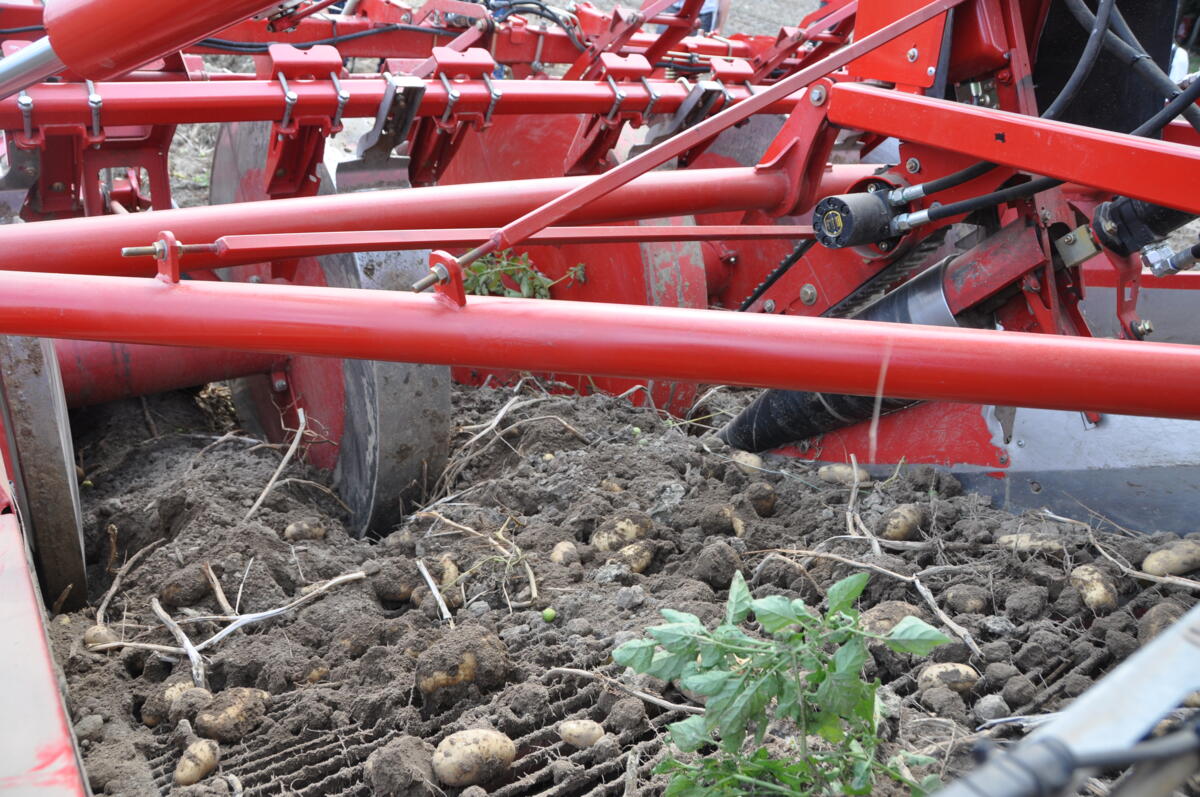 La phase de croissance qui précède la récolte a un énorme impact sur le stockage.
