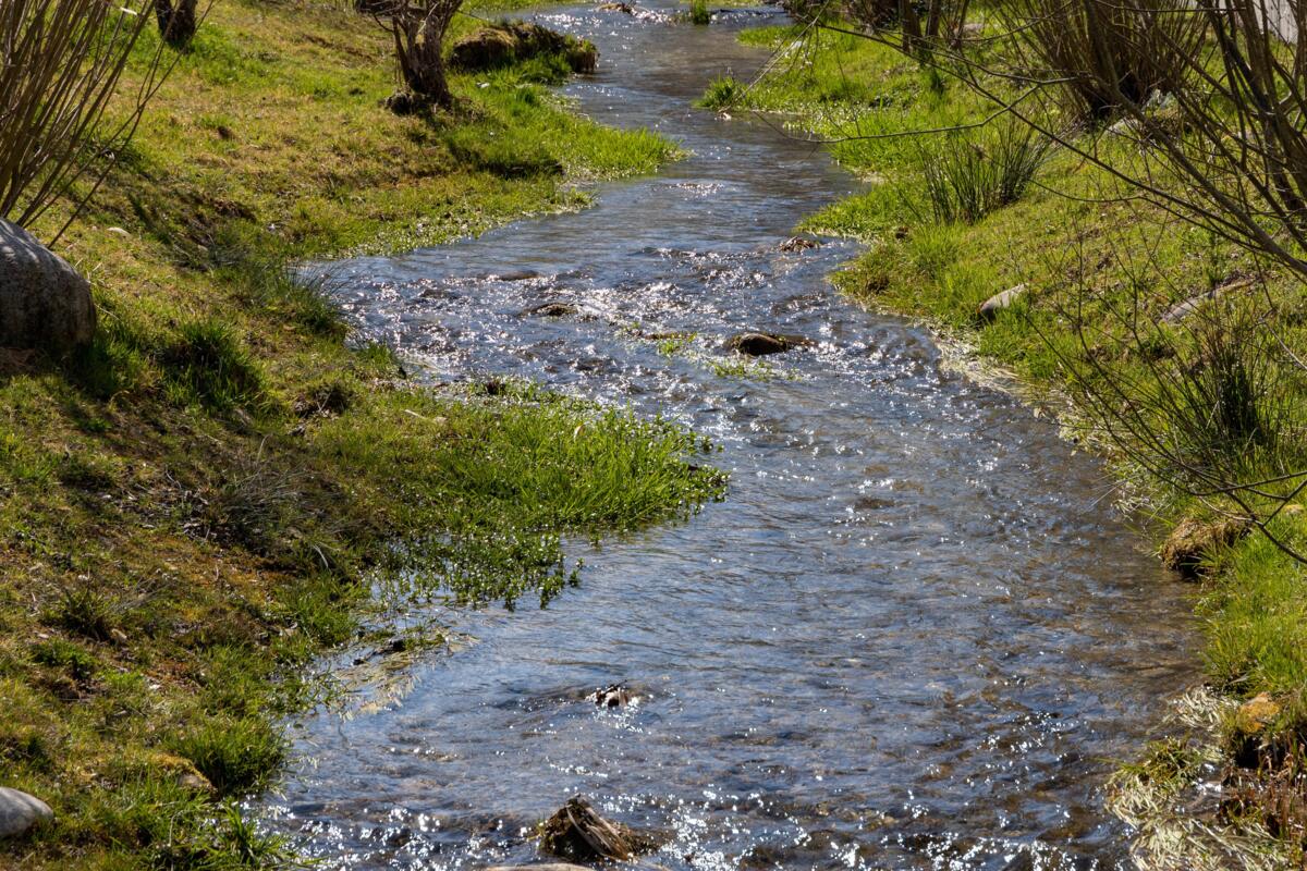 Projekt zum Rückhalt von Wasser im Kulturland