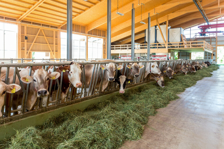 batirpourlavenirlely