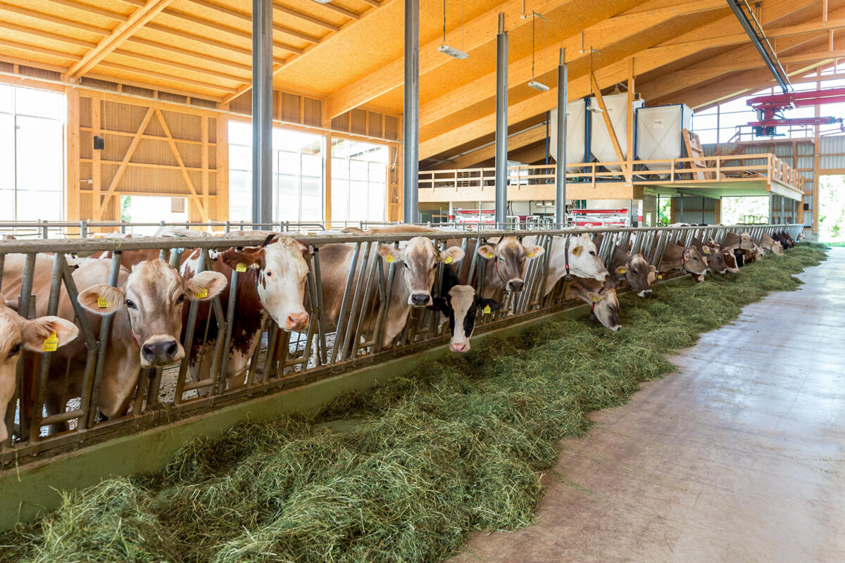 Bauen für die Zukunft