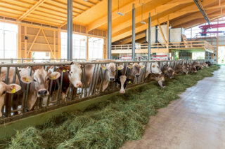 bauenfuerdiezukunftlely