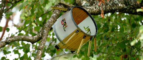 Baumdrohne_WSL_D