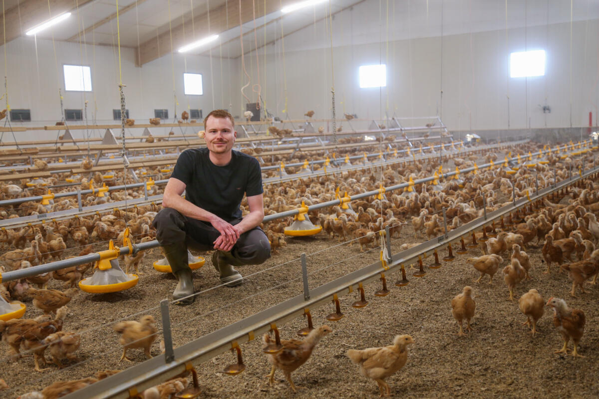 Geflügelwirtschaftsmeister Raphael Meier im Pouletstall auf dem elterlichen Betrieb, den er später übernehmen wird. Sein Wissen aus der hauptberuflichen...